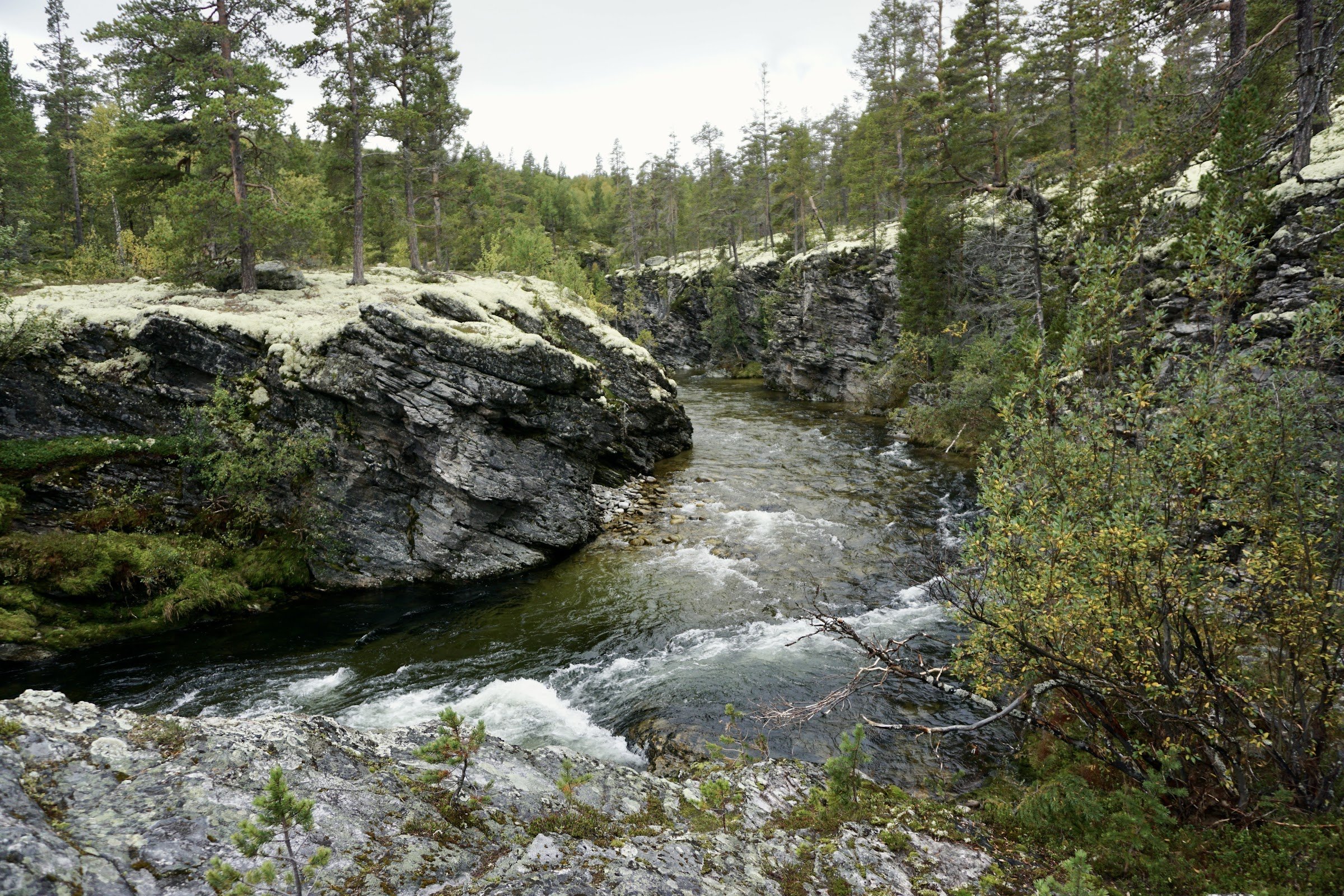Nasjonal turistveg Rondane - scenic route - start/end